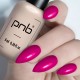 Гел лак PNB 8 мл 377